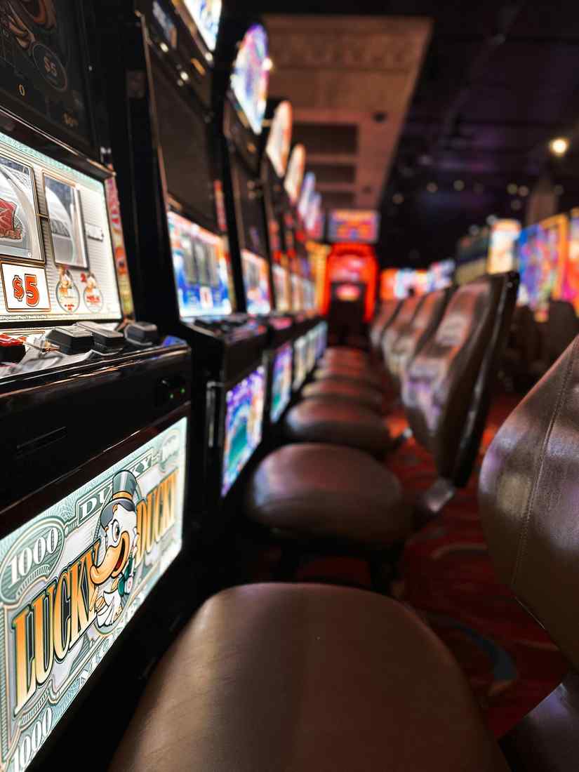 https://ozwincasinonz.com/ https://ozwincasinonz.com/